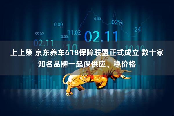上上策 京东养车618保障联盟正式成立 数十家知名品牌一起保供应、稳价格