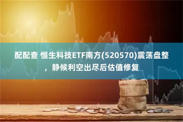配配查 恒生科技ETF南方(520570)震荡盘整，静候利空出尽后估值修复