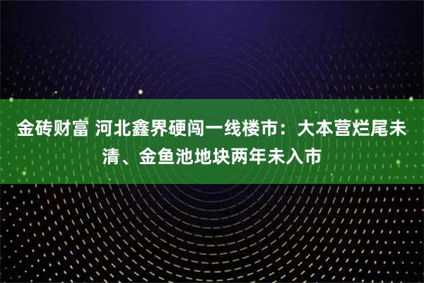 金砖财富 河北鑫界硬闯一线楼市：大本营烂尾未清、金鱼池地块两年未入市