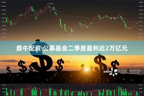 鼎牛配资 公募基金二季度盈利近2万亿元